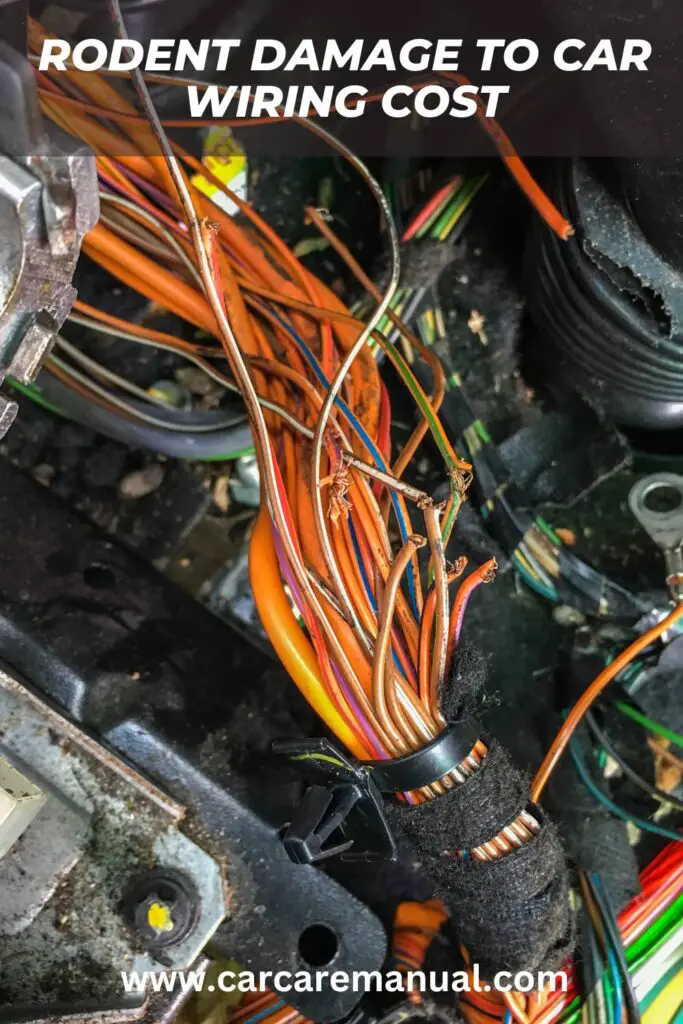 Rodent damage to car wiring cost 